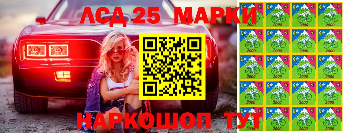 ТГК Гатчина