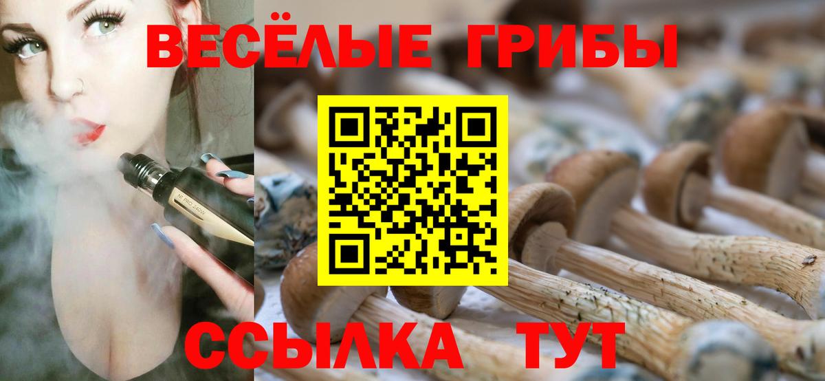 Псилоцибиновые грибы Psilocybine cubensis  Вход с VPN  Гатчина 