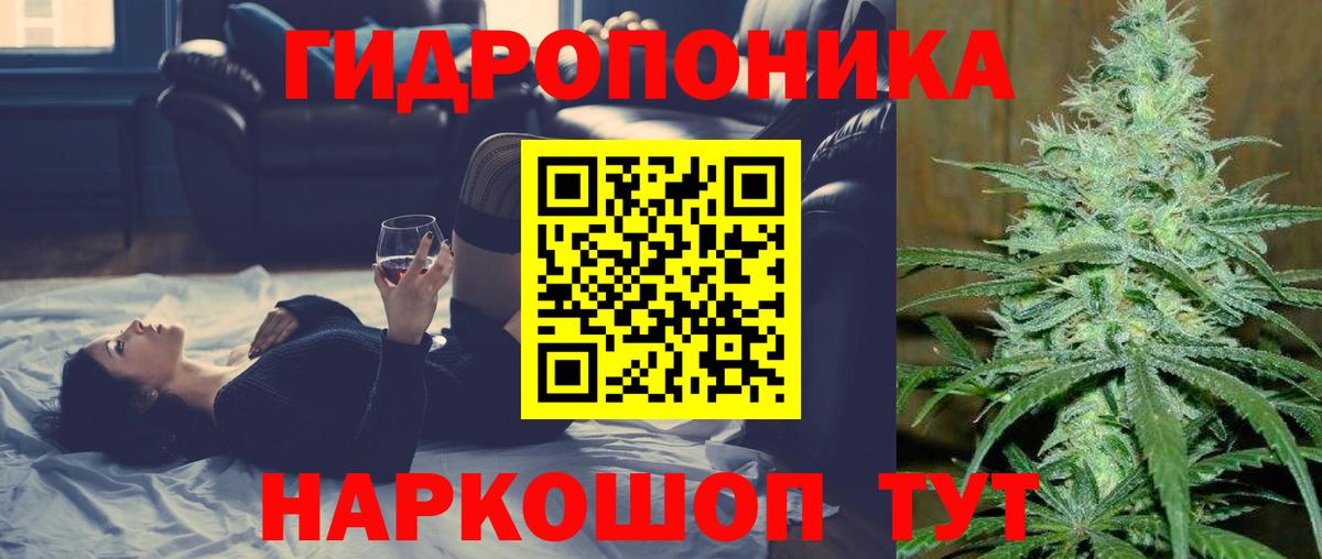 Канабис план  Каннабис Bruce Banner  Вход с VPN  Конопля VHQ  Гатчина  Бошки Шишки планчик 